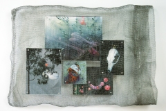 DREAMS ESCAPE • SOFT COMPRESSION