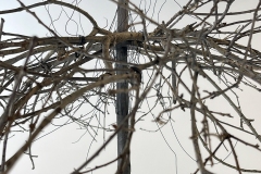 F•UTILITY